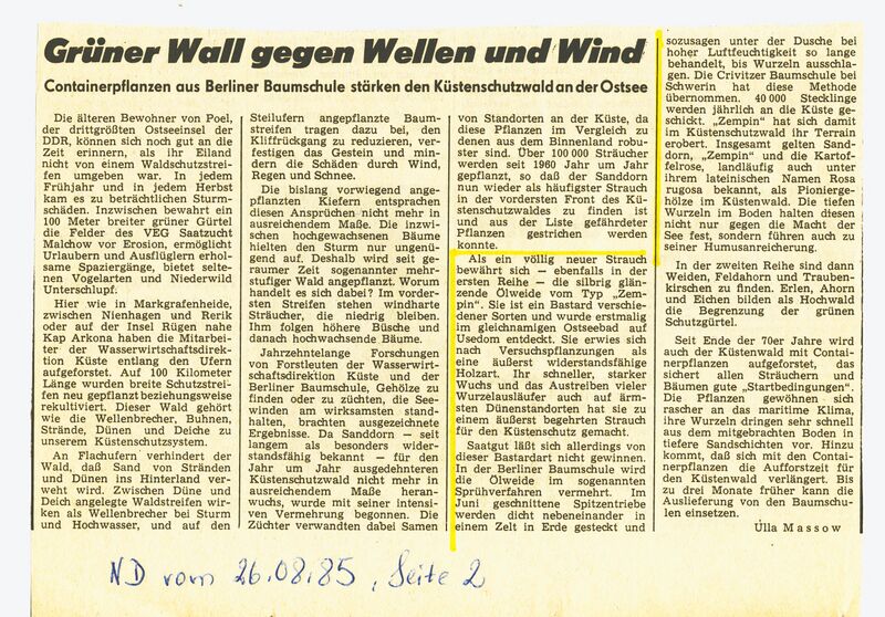 Datei:Zempin Pflanze Zempin-Ölweide 1985.jpg