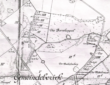 Backofenberg.png