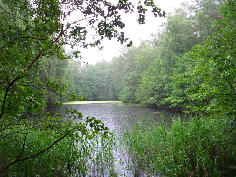 Datei:Kanal-Rudiment 2014.jpg