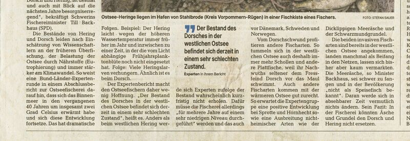 Datei:Ostseefische 2024 b.jpg