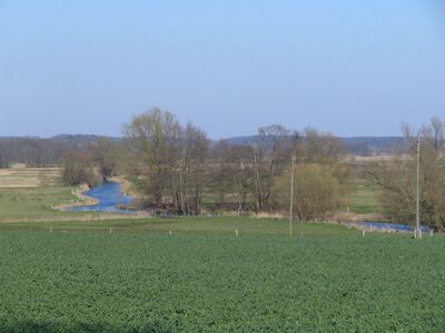 Warnow