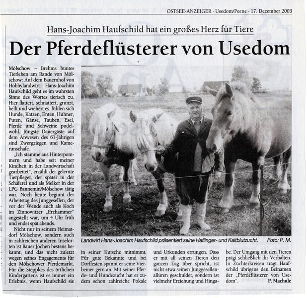 Datei:2003 Mölschow Pferde.jpg