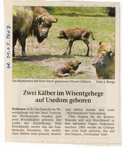 Datei:2007 Wisent 05 a.jpg