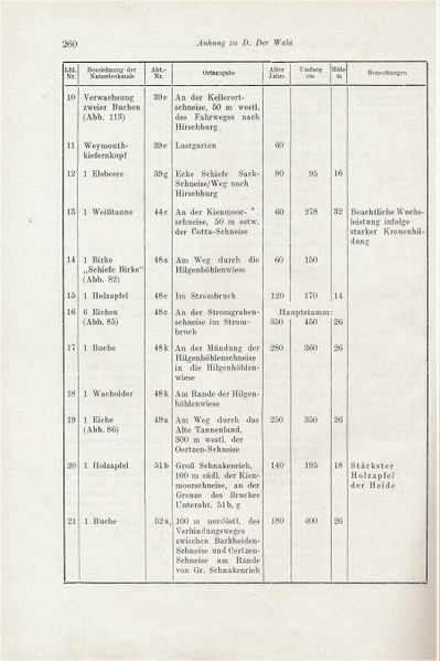 Datei:Kolp Nordöstliche Heide 0260.jpg