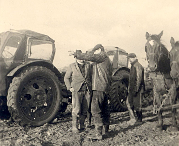 Datei:Moenchhagen Landwirtschaft 1950er Jahre 4.jpeg