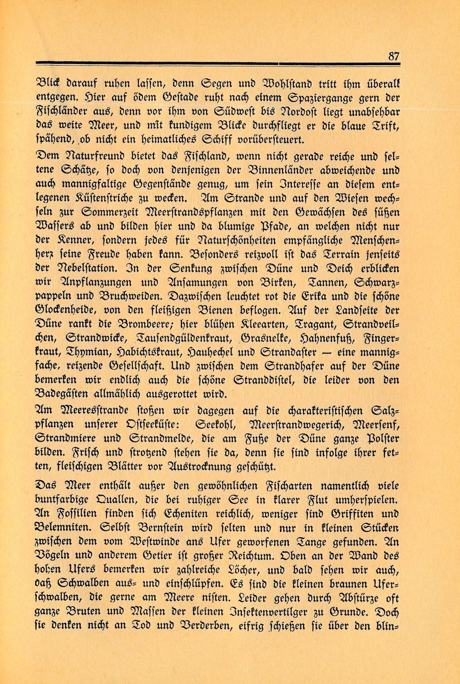 Wustrow Peters Lange 1934 087