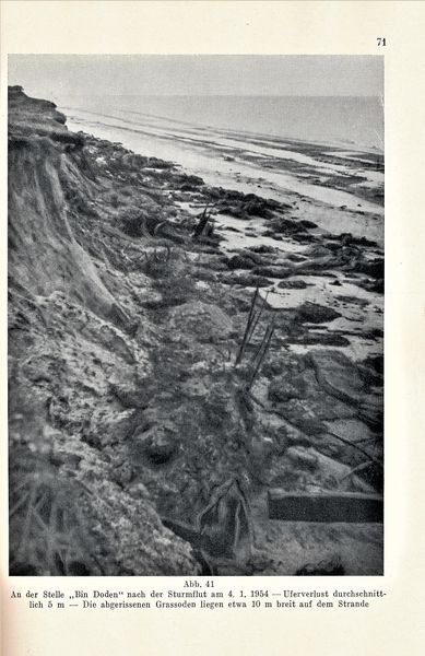 Datei:Kolp Nordöstliche Heide 0071.jpg