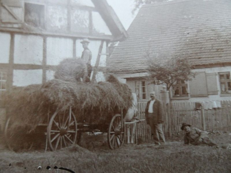 Datei:Trassenmoor 8.jpg