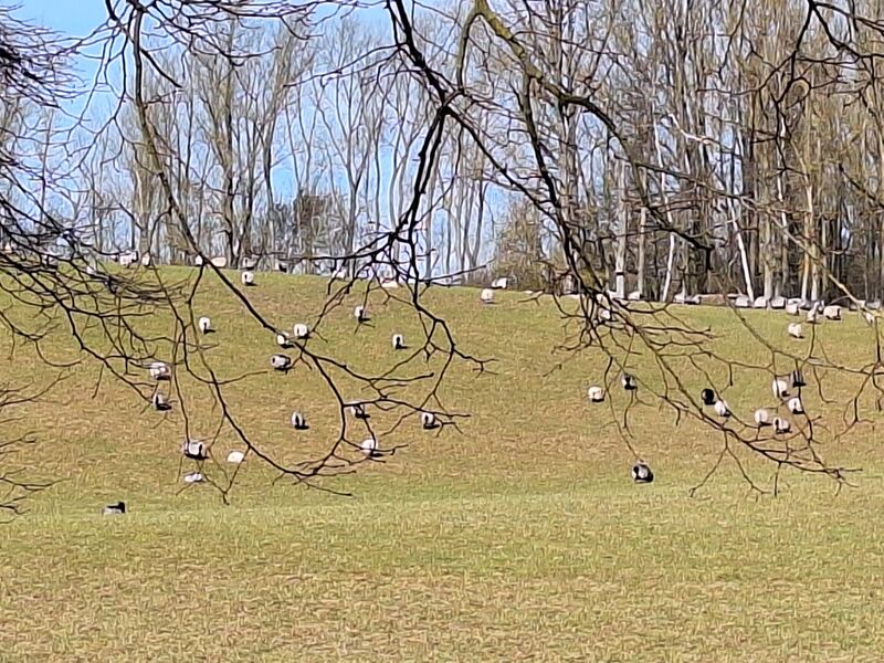 Datei:Eickelberg Impressionen 02.jpg