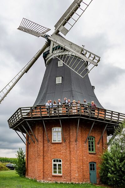 Datei:Fotopa Goldenbow.jpg