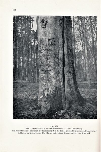 Datei:Kolp Nordöstliche Heide 0184.jpg