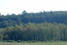 Lenzen-KA Dobbertin 898 (2002).jpg