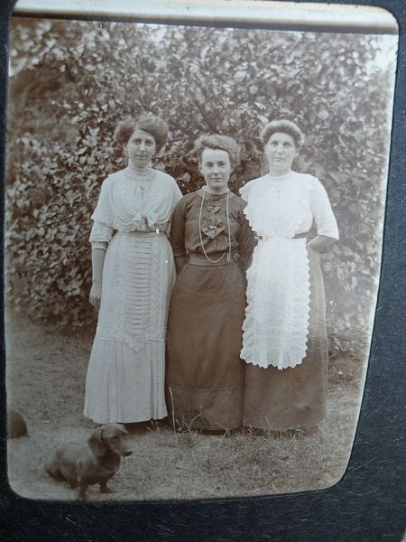 Datei:Trassenmoor 6.jpg