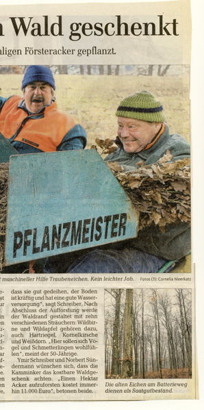 Datei:2014 Wald 2.jpg