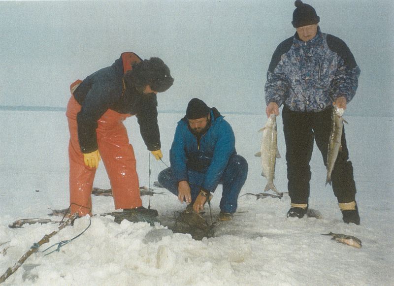 Datei:Eis 0040.jpg