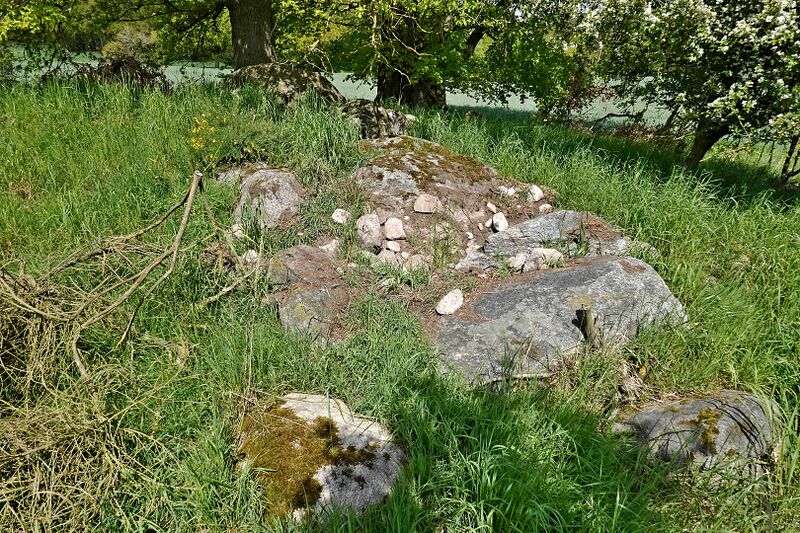 Datei:Hünengräber Liepen 9 3.jpg