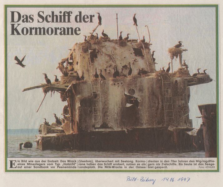 Datei:1997 Schiff Brutplatz.jpg