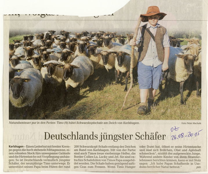 Datei:2015 Schäfer.jpg