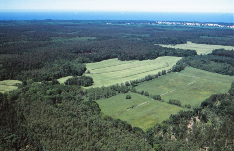 Datei:RH LUBI Seekenwiesen 2006.jpg