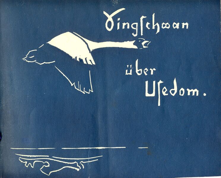 Datei:00 Singschwan original.jpg