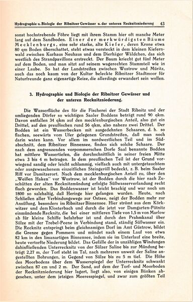 Datei:Ribnitz Kühl 043.jpg