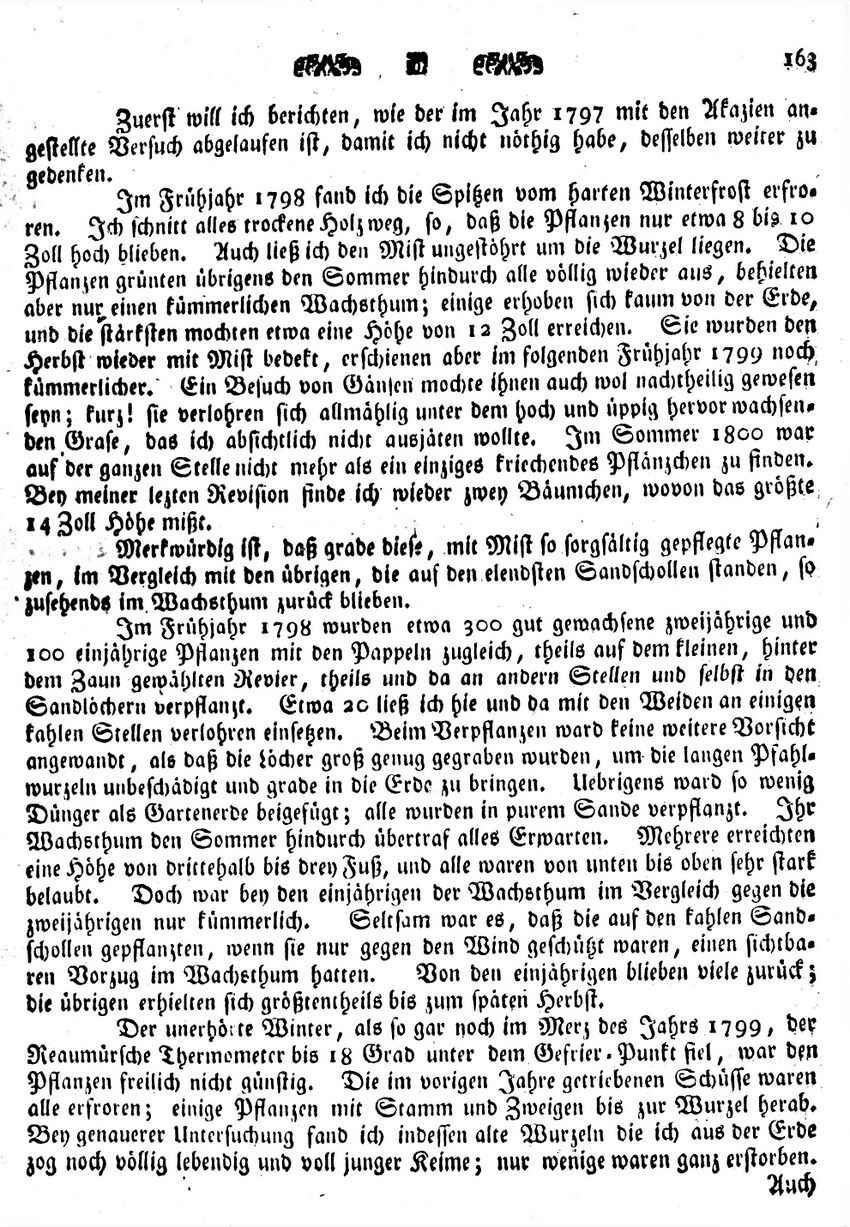 1801 Karsten Wmde Düne 164