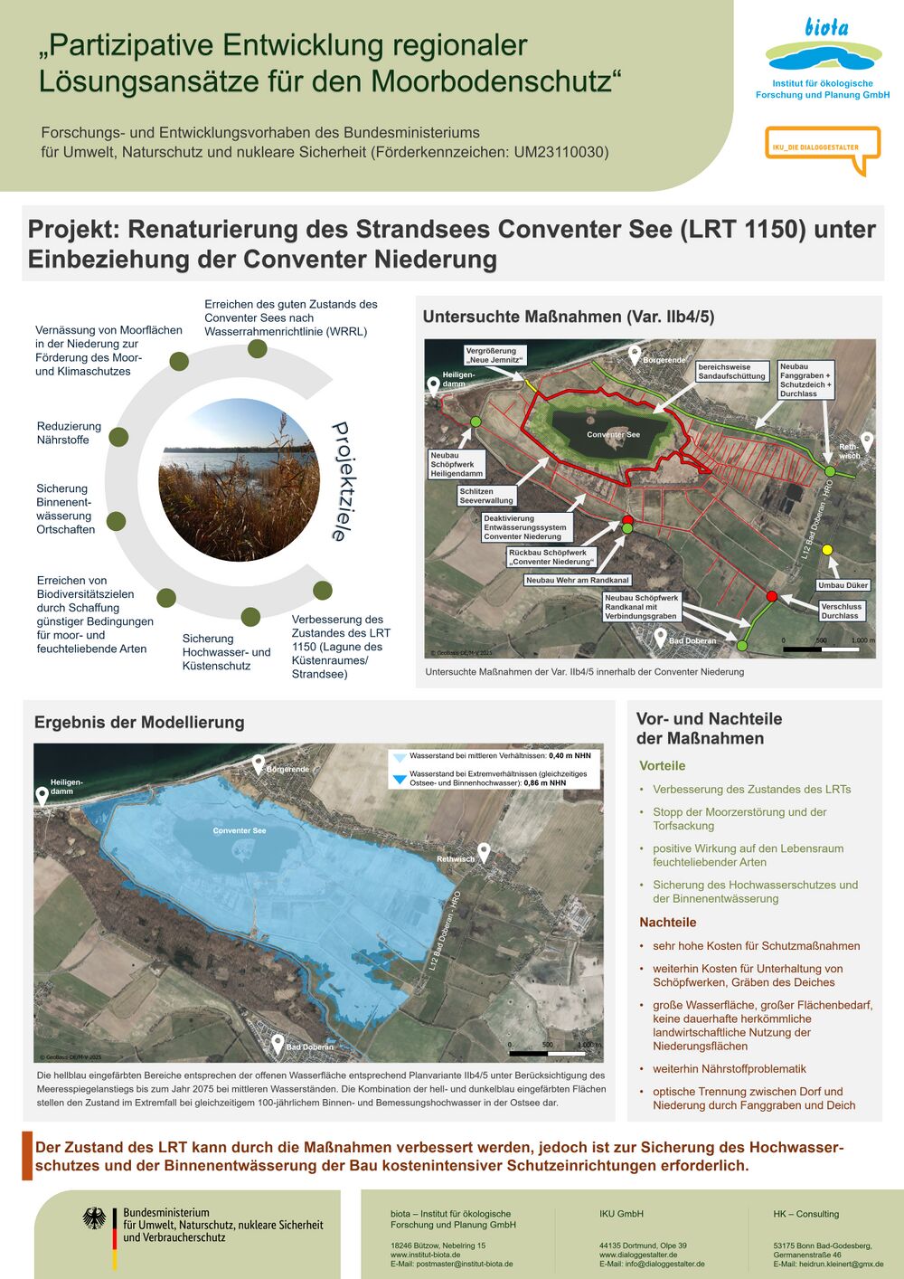 Boergerende-Rethwisch-2025-06-Renaturierung VIIb.jpg