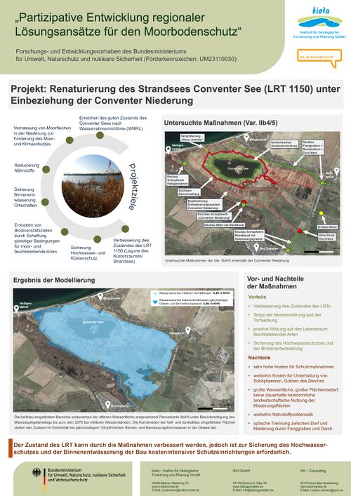 Boergerende-Rethwisch-2025-06-Renaturierung VIIb.jpg