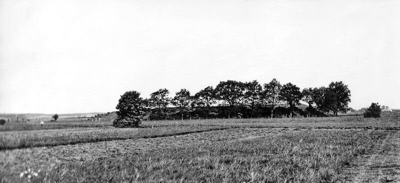 Datei:Friedrichsruhe Wendischer Burgwall.jpg