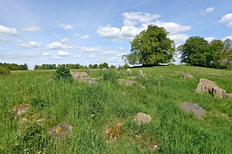 Datei:Hünengräber Liepen 2 2.jpg
